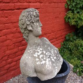 风化花园雕塑：大卫混凝土半身像